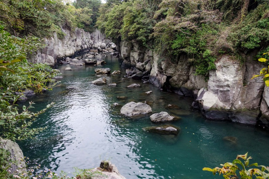 제주도 공항근처 (4).jpg