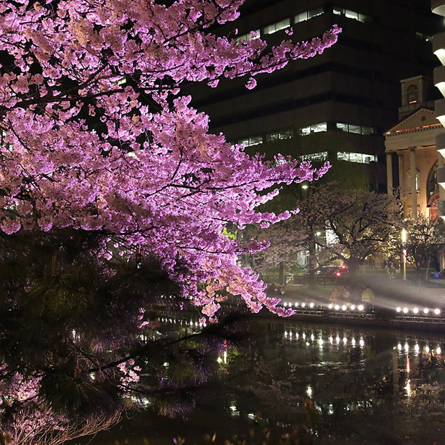 07 후쿠오카 마이즈루 공원.jpg