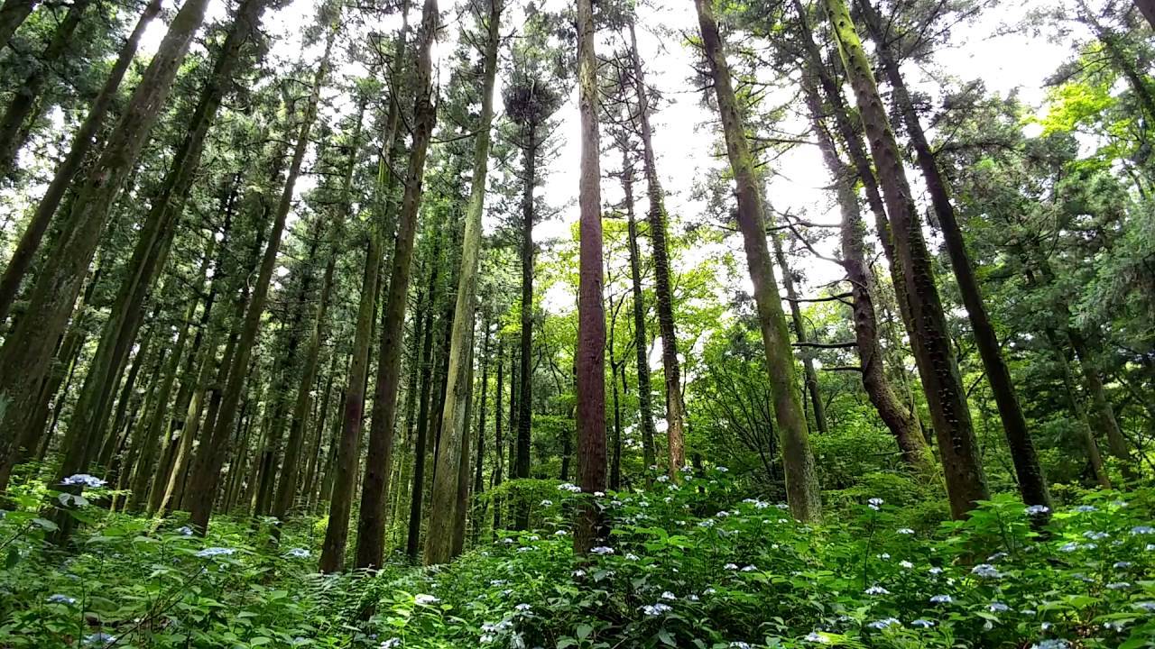 maxresdefault (8).jpg