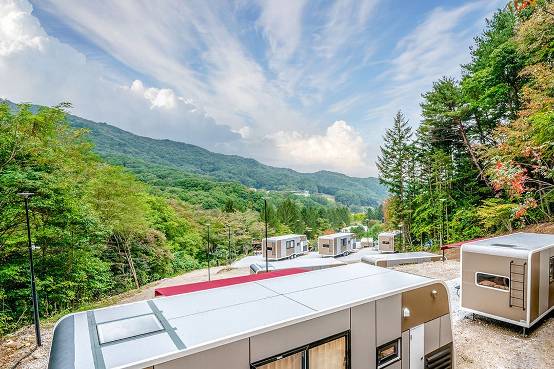 6358bace959b1 (1).jpg