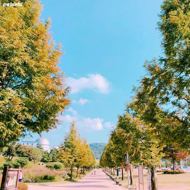 06 맞춤랜드.jpg