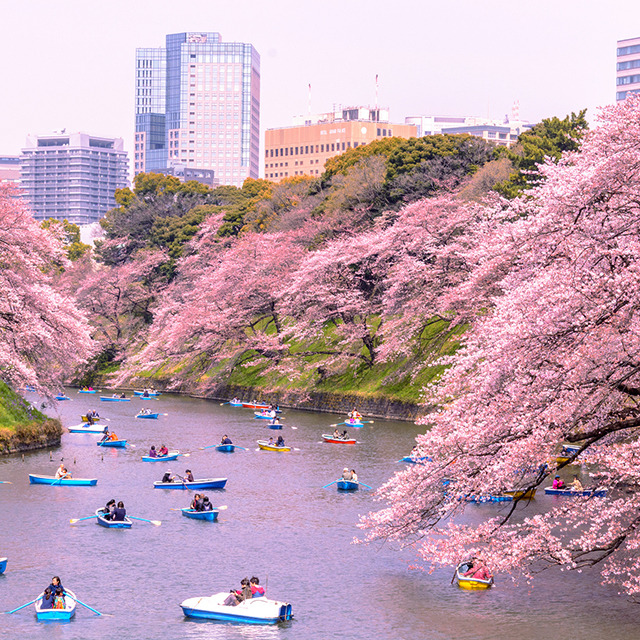 03 이노카시라 공원.jpg