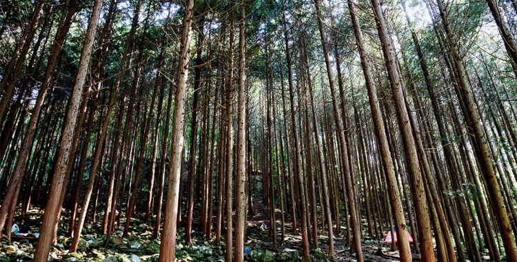 완주 보엠유황스파앤리조트 (16).jpg