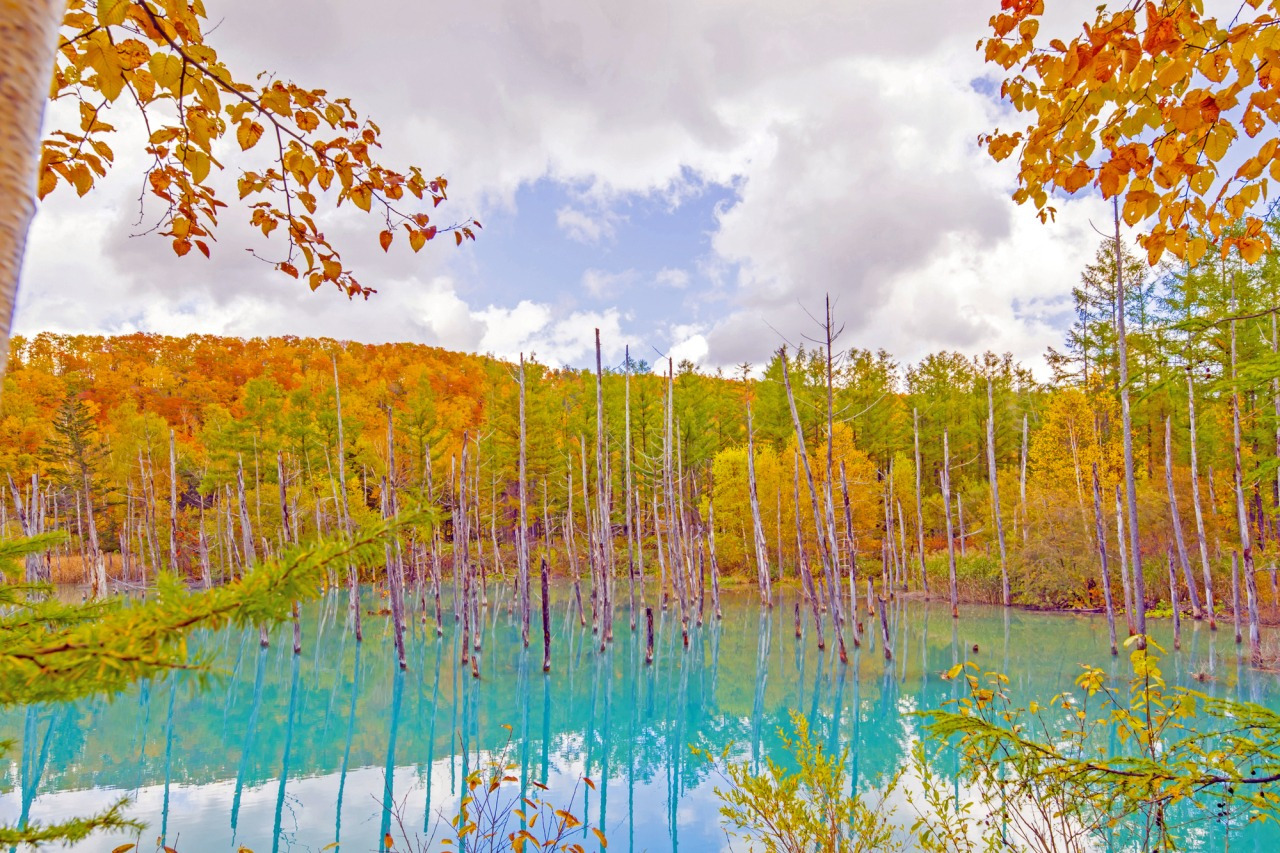 청의 호수_브런치.jpg