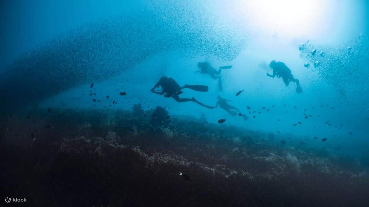 2_12월 여행_몰디브 (2).jpg