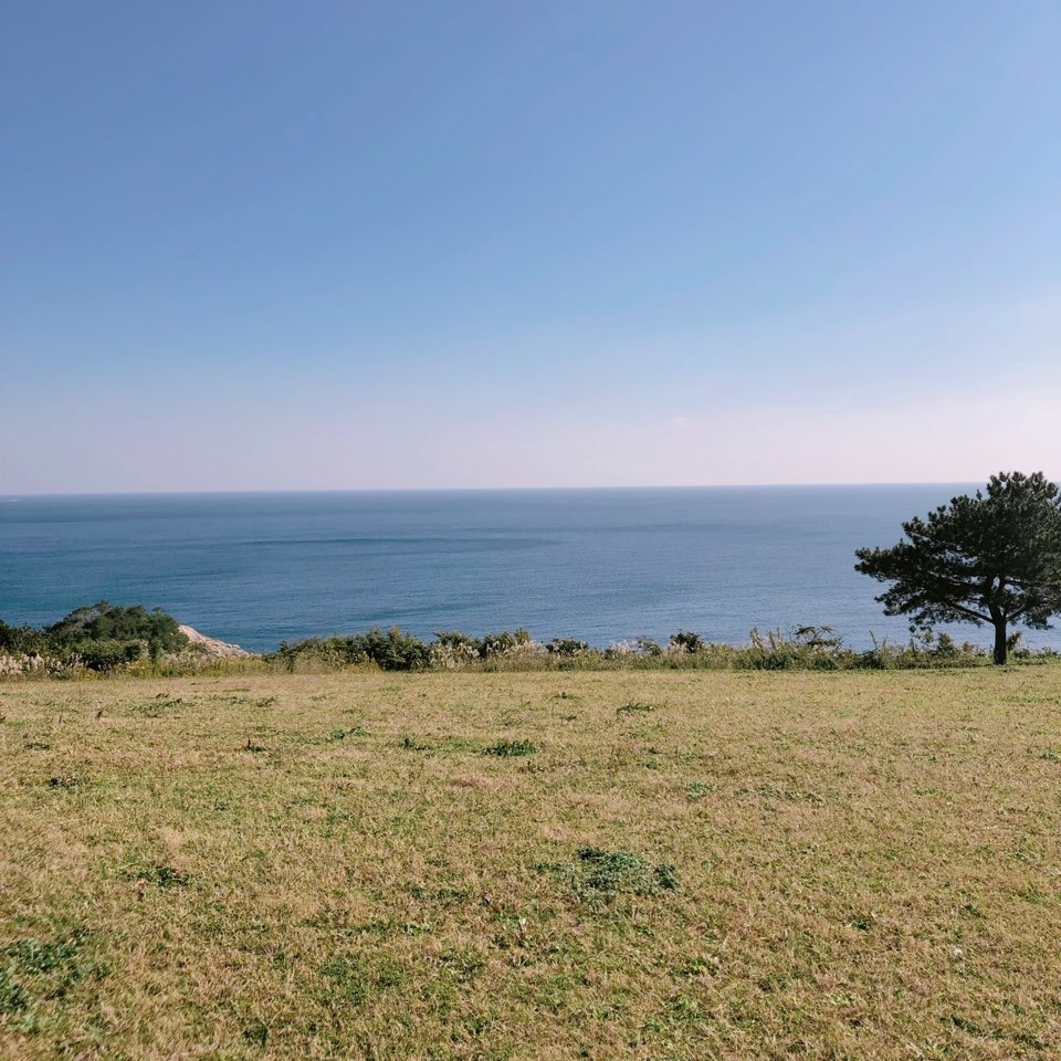 06 이사리비 공원.jpg