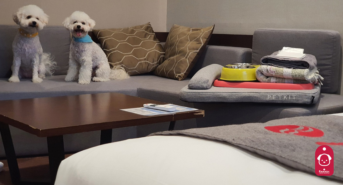 5_평창 라마다 호텔 앤 스위트 _2.jpg