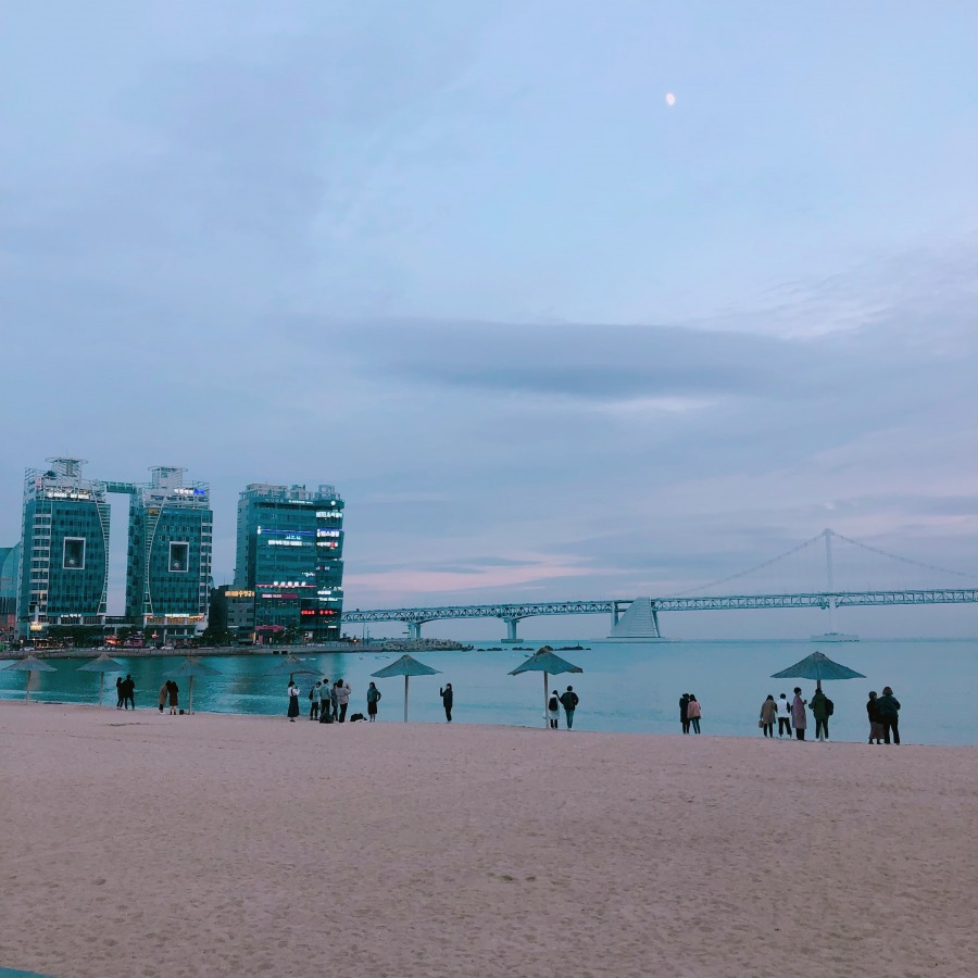 KakaoTalk_20190306_160946927.jpg