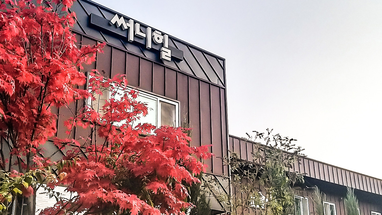 국내 가을 여행_보은 (7).jpg