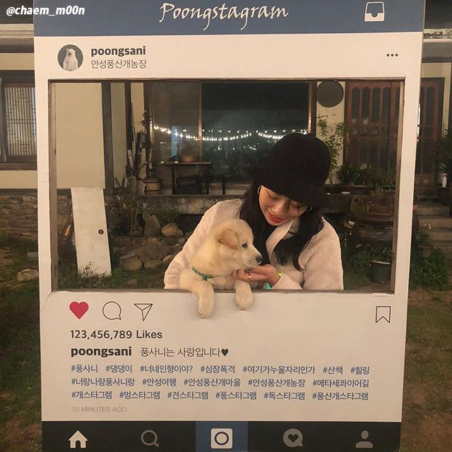 01 풍산개마을.jpg