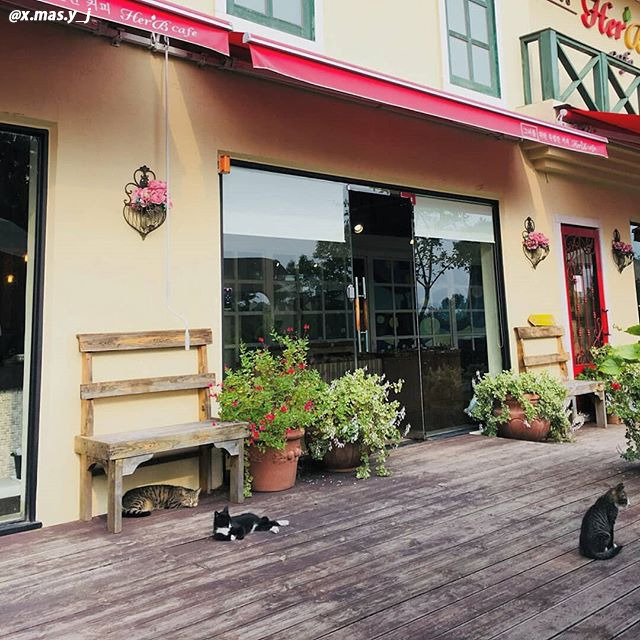 04 안성허브마을.jpg