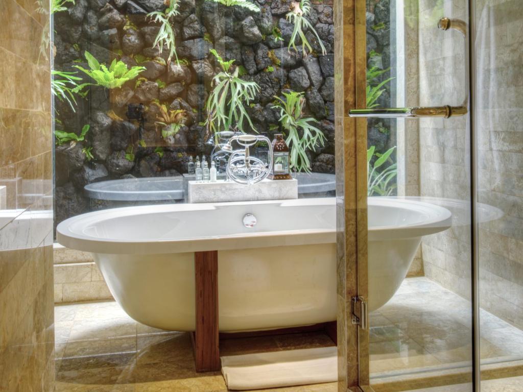 코마네카 앳 몽키 포레스트 (8).jpg