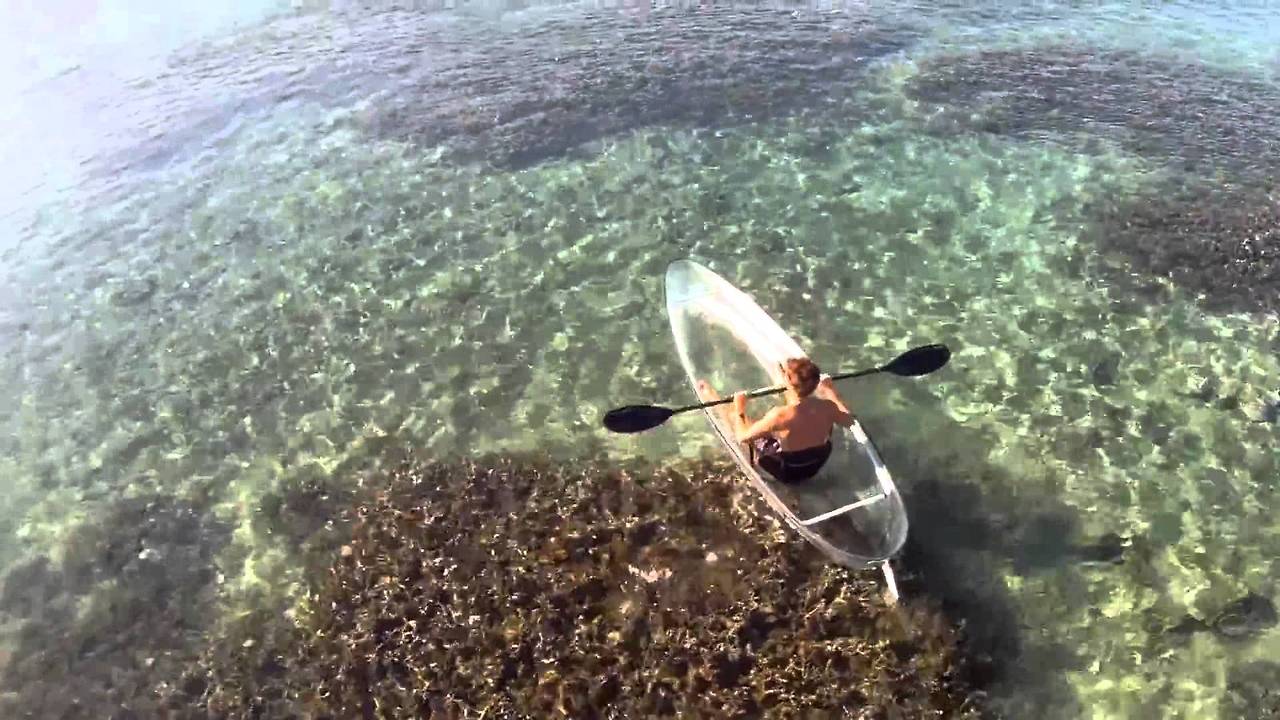 maxresdefault (11).jpg