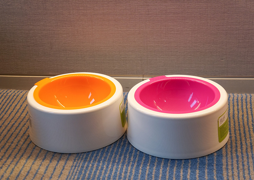 4.애견프로그램 (3).jpg