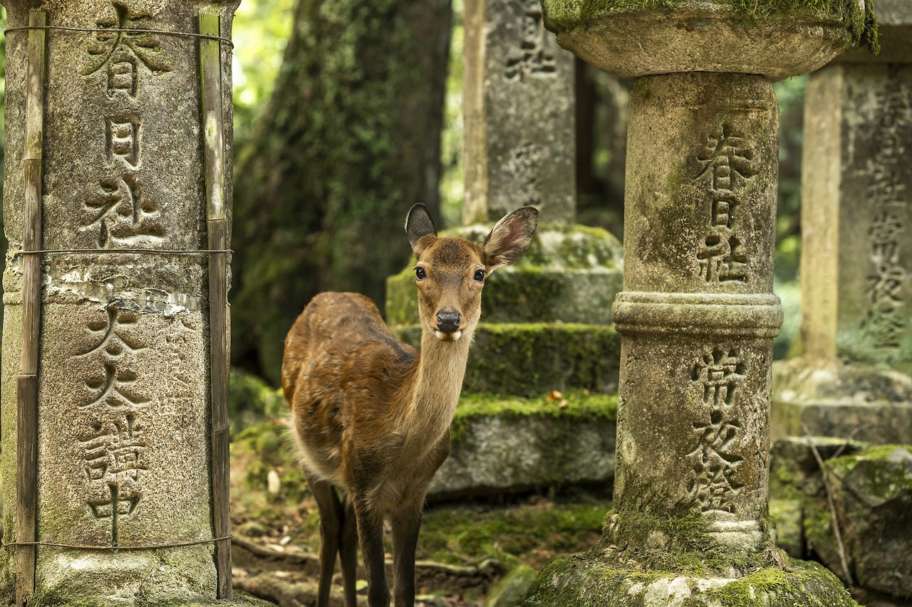 0_오사카즐길거리_메인 (3).jpg
