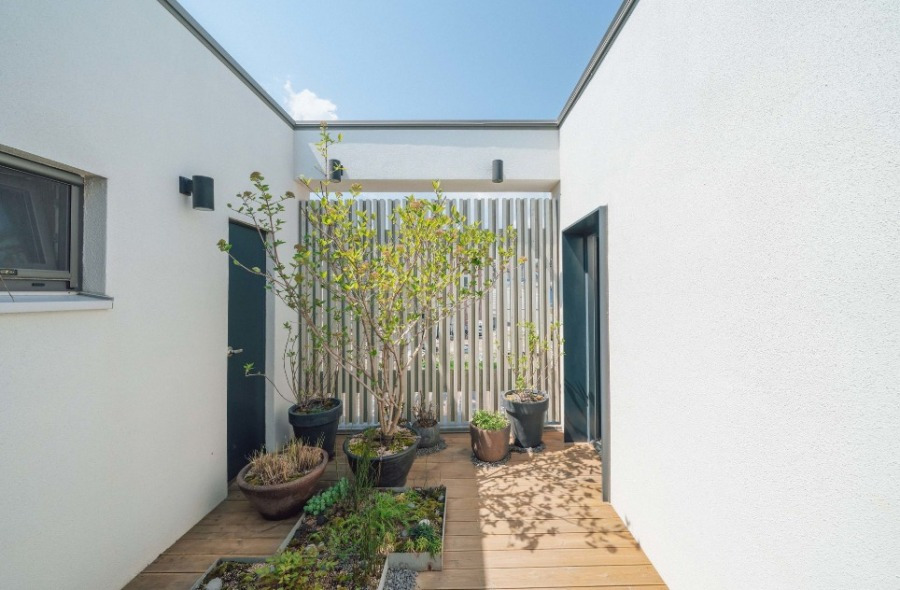 양양비온후풍경 (10).jpg