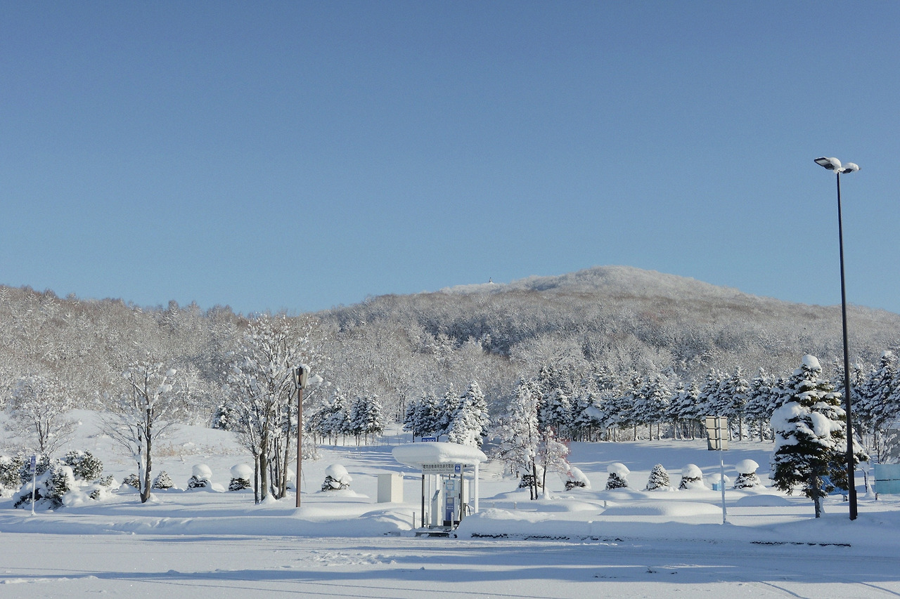 홋카이도 비에이 후라노 투어 (5).jpg