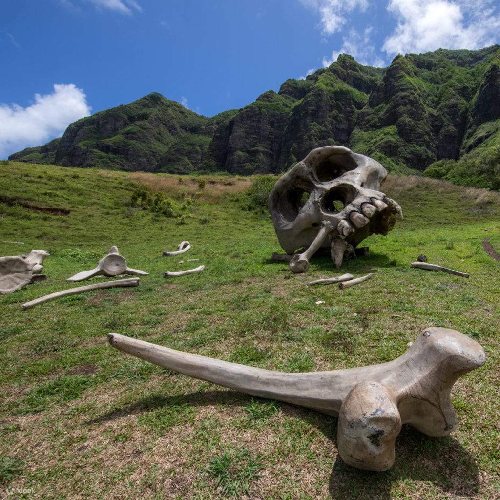 하와이 쉐라톤 와이키키 (17).jpg