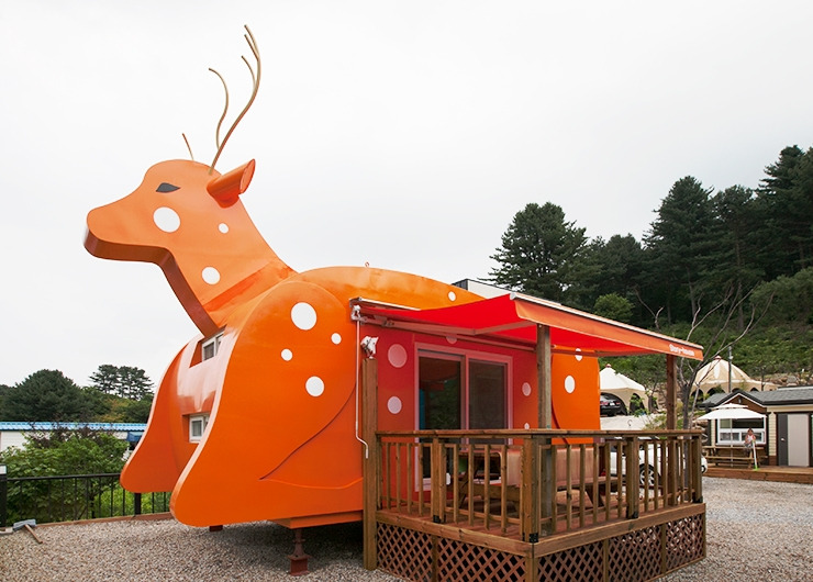 가평 동물카라반펜션2.jpg