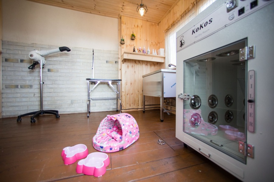 처음처럼 펜션 (4).jpg