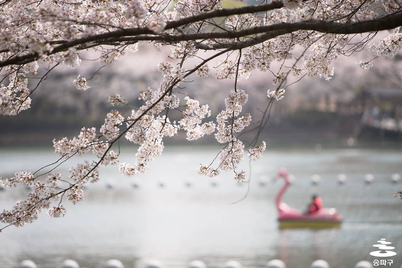 석촌호수2.jpg