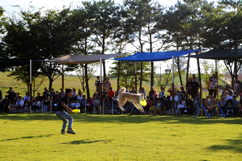 꽃피는산골 펜션 (1).jpg