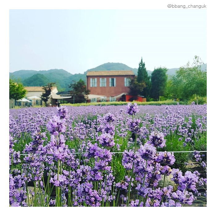 06 고성.jpg