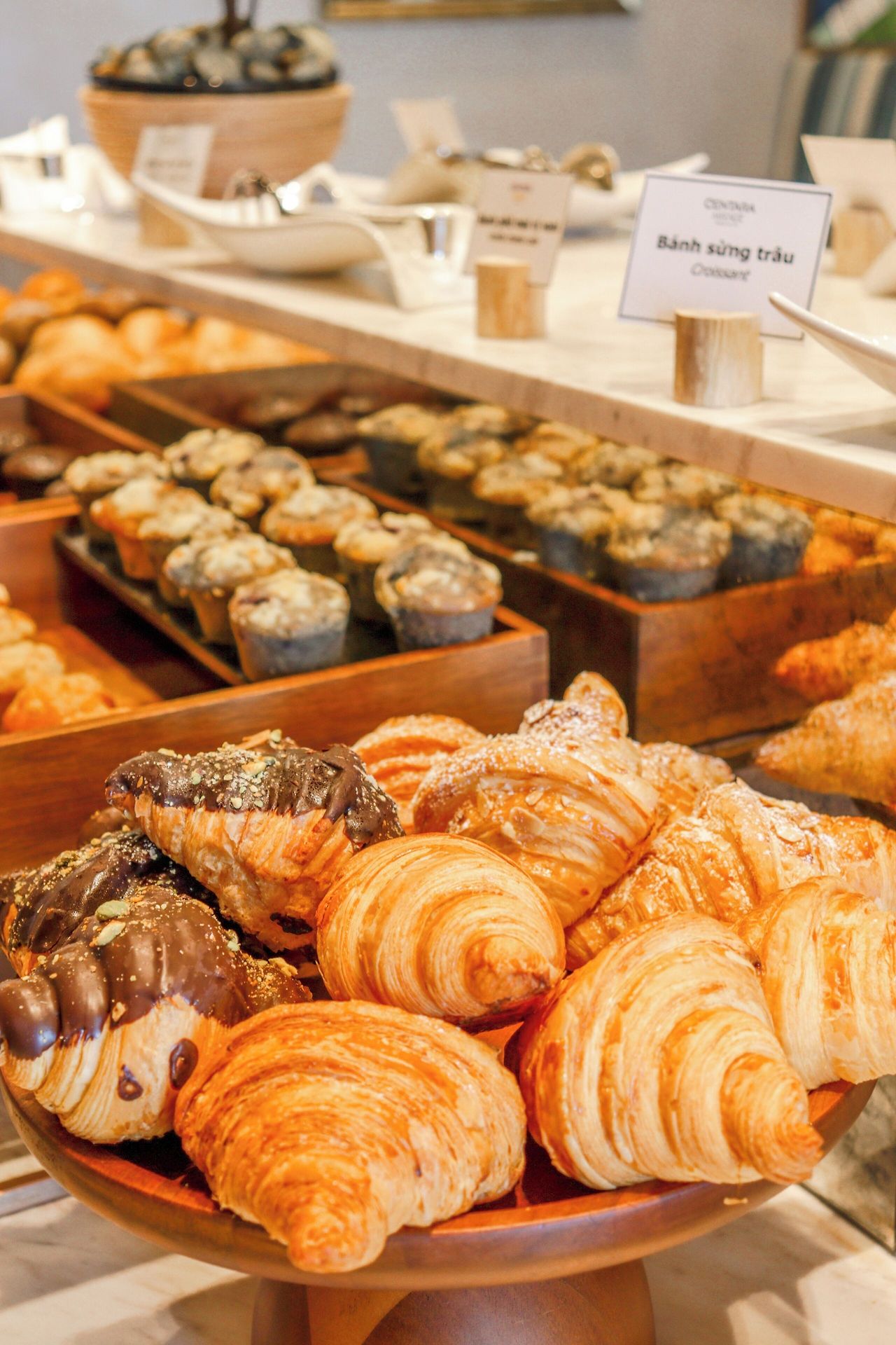 센타라미라지무이네 (18).jpg