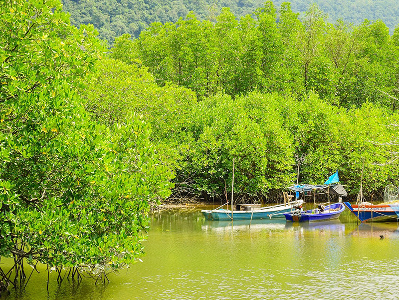 07 맹그로브 투어.jpg