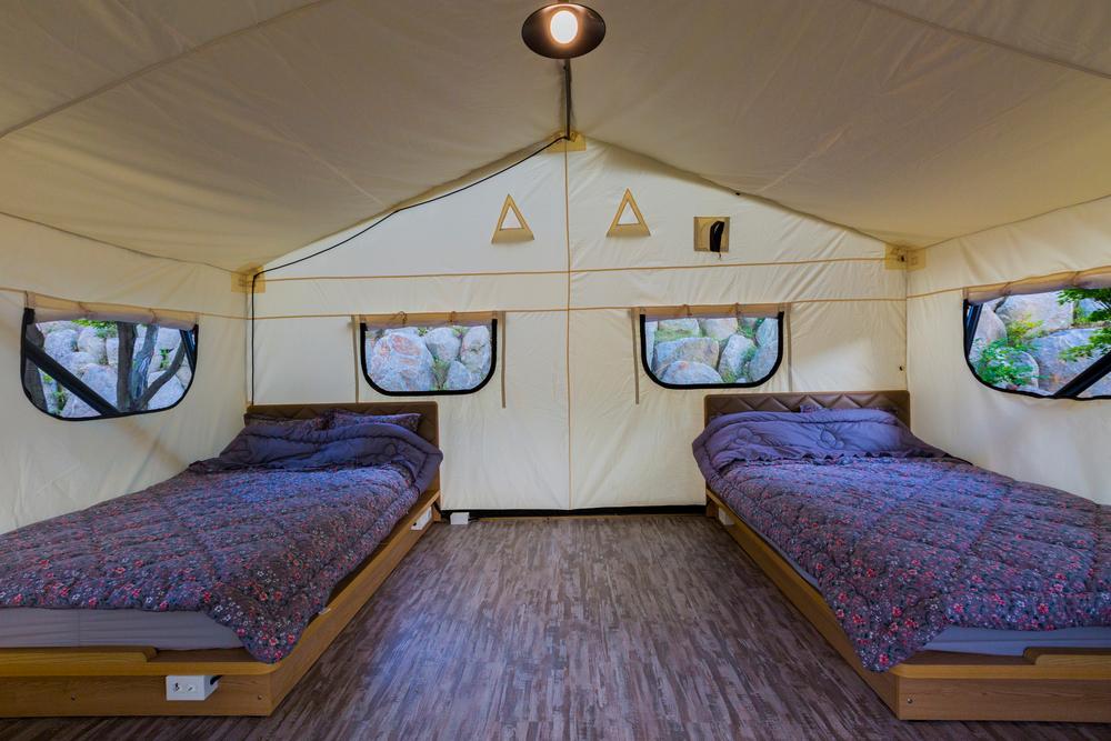 maple-tree-glamping (1).jpg