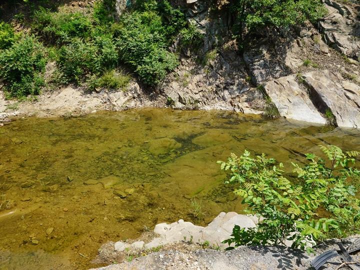 태양힐링숲글램핑 (2).jpg