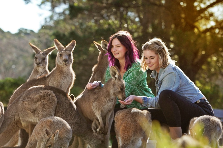 4_겨울해외여행_시드니 (2).jpg