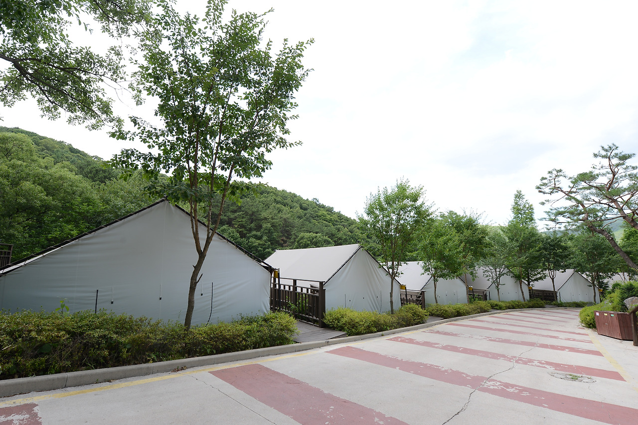 동화힐링테마파크 펜션 (3).jpg