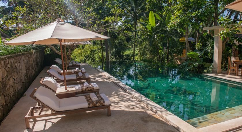 코마네카 앳 몽키 포레스트 (1).jpg