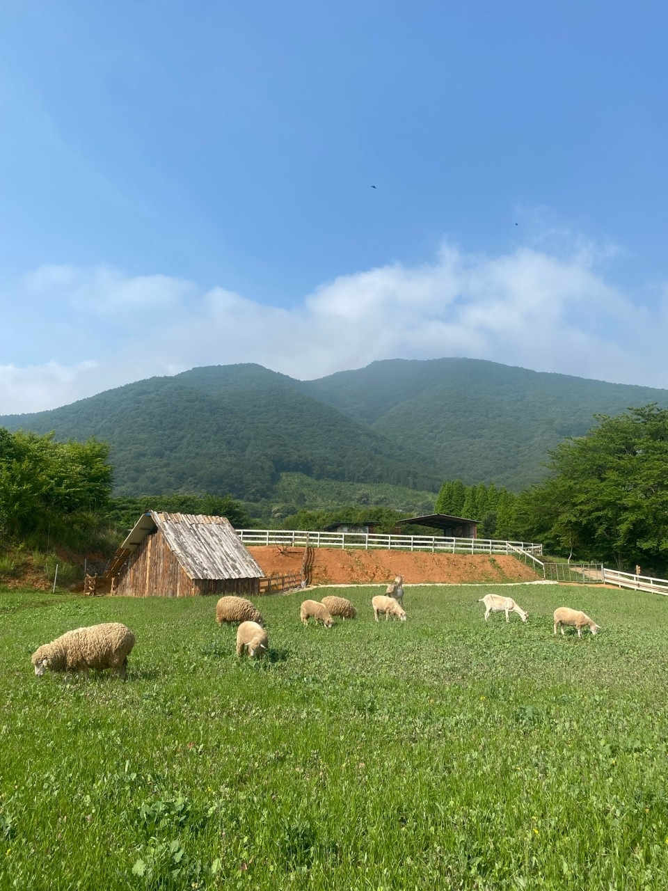 비바체 리조트 (17).jpg