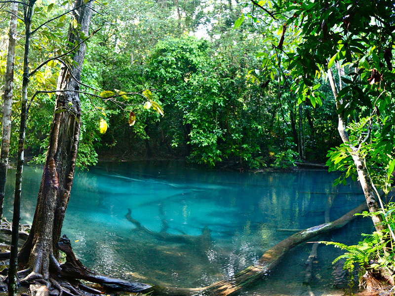 05 블루 풀.jpg