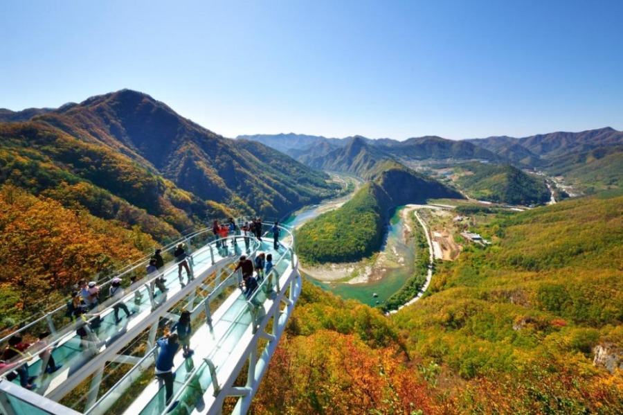 스카이워크파인포레스트 (1).jpg