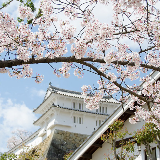 05 가고시마 히메지성.jpg