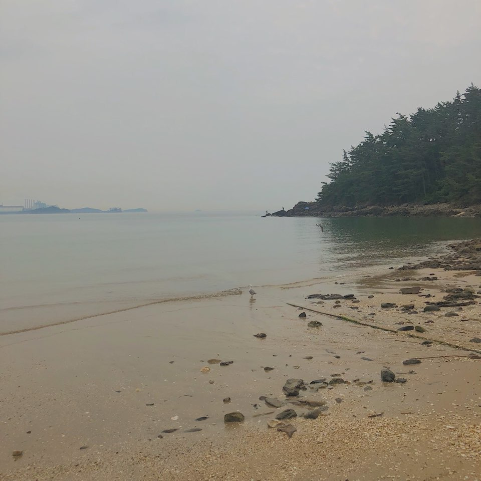 08 솔향기길.jpg