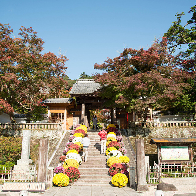 17 시즈오카 슈젠지 온천마을.jpg