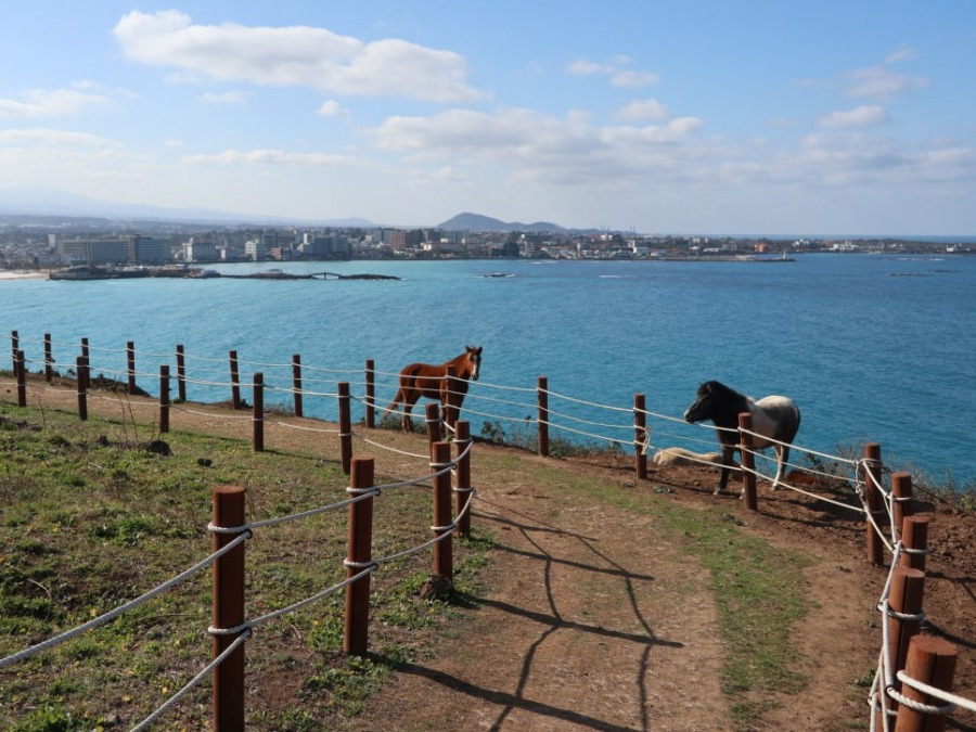 유탑유블레스 (11) 대표.jpg