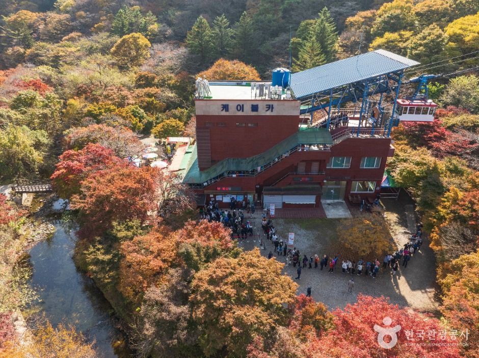 국내 가을 여행_정읍 (1).jpg