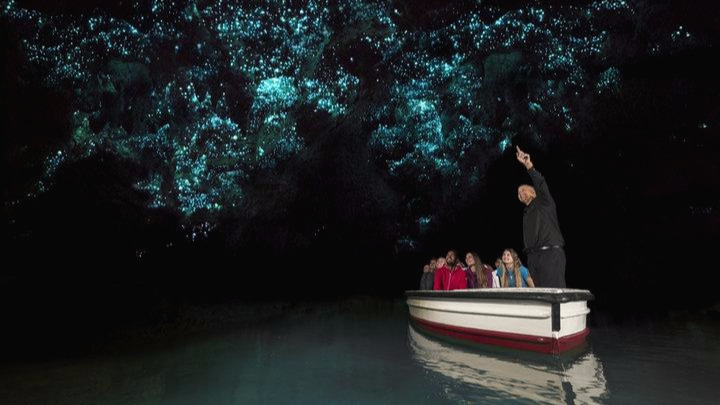 waitomo-glowworm-caves-1516-nz-boat-with-glowwormsjpg.jpg