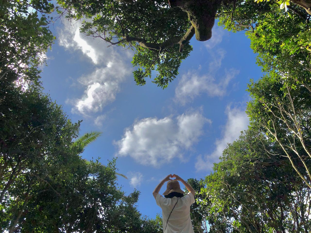 소노캄 제주 (3).jpg