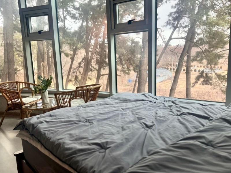 카지노 게임 사이트