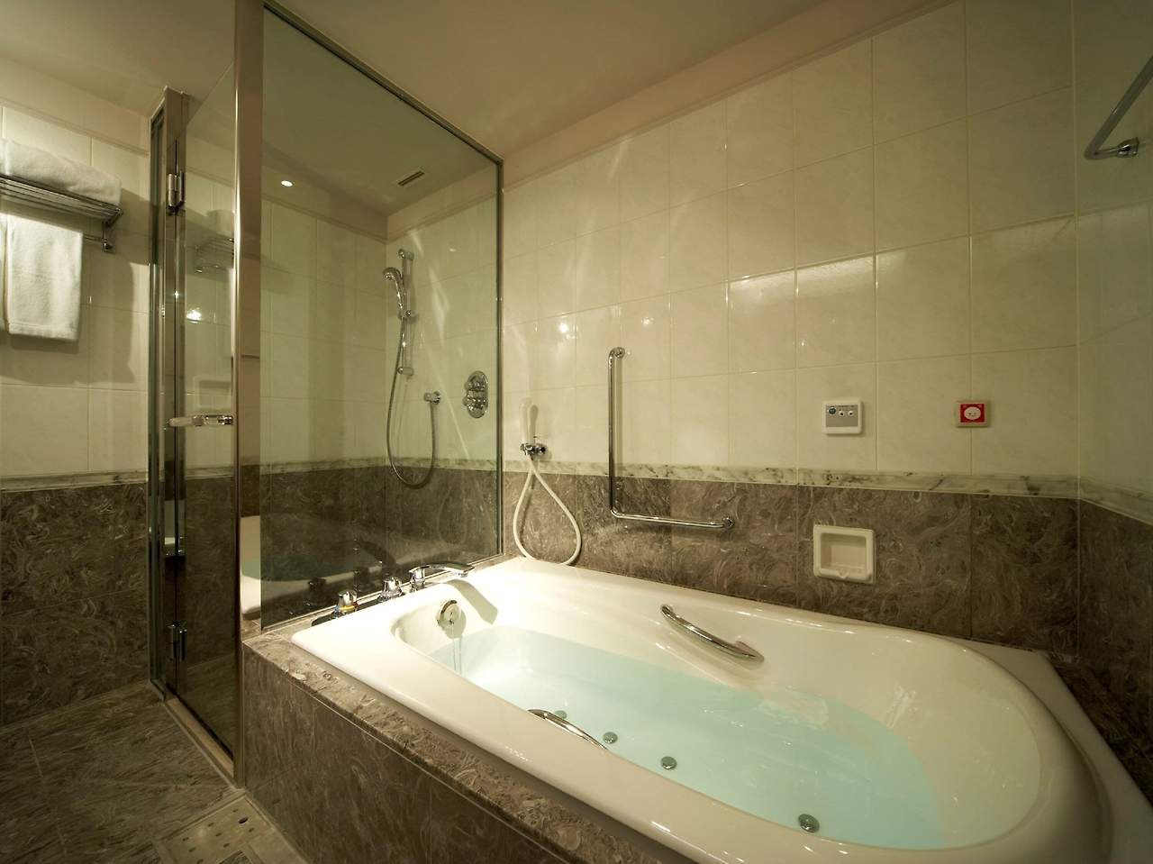 프린스 파크 타워 도쿄 호텔 (6).jpg