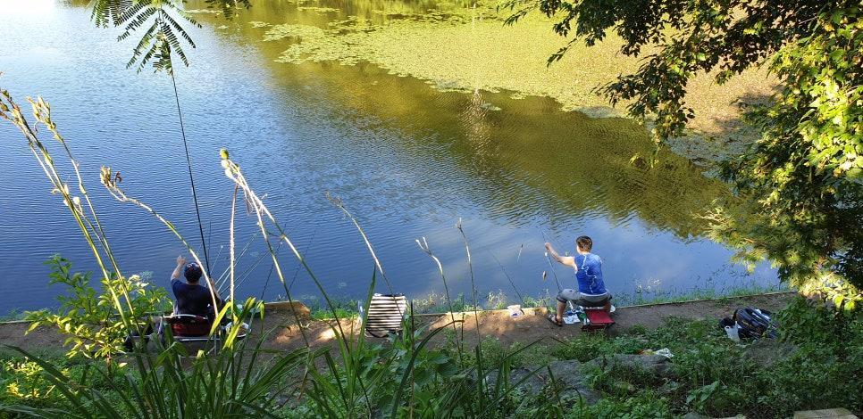 3_부여숙소추천_부여 글램핑판 (2).jpg