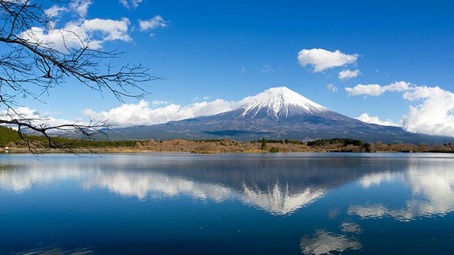 lake-tanuki-mt-fuji.jpg