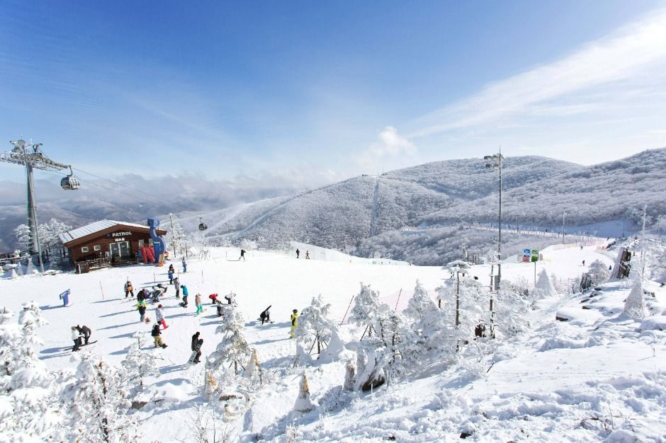 정선가성비콘도 하이캐슬리조트 (18).jpg