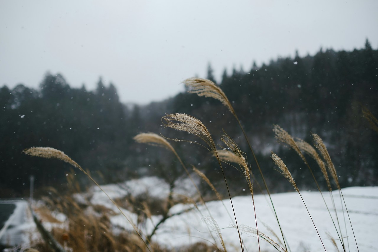 겨울국내여행지추천_제주 서쪽_25.jpg
